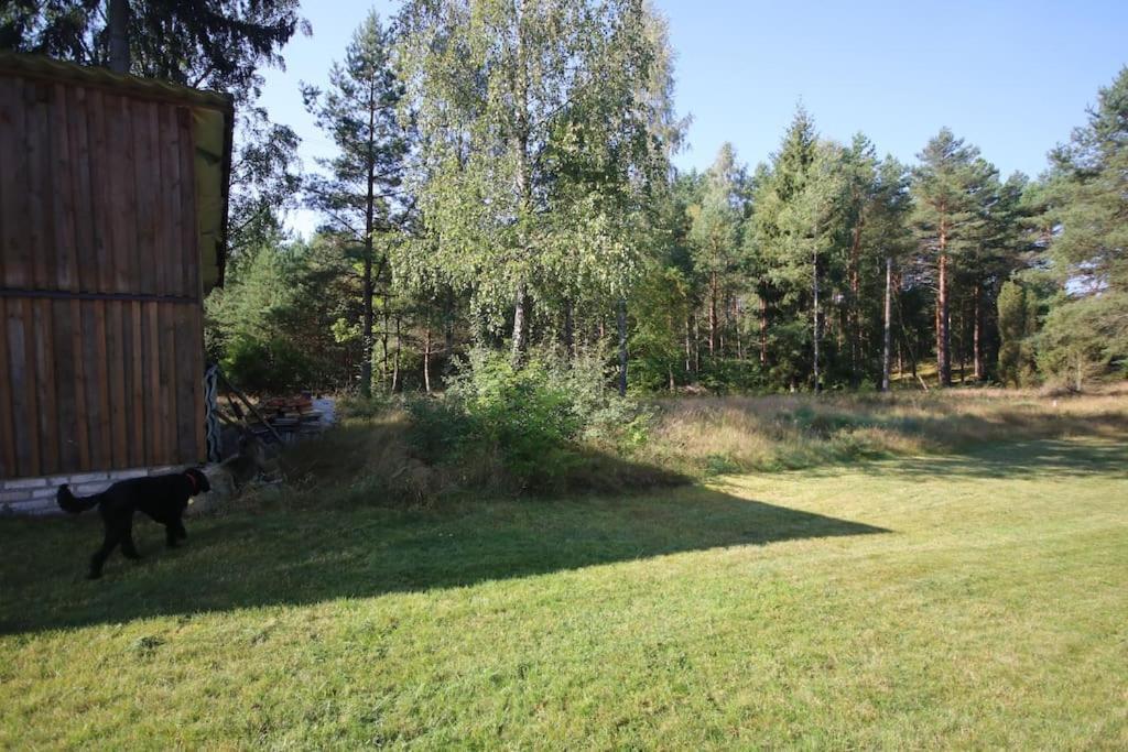 Klasztor 5 Borowy Mlyn